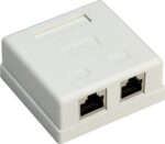 CAT6 Gigabit netwerk uitvoerdoos/montagedoos met 2 RJ45 poorten - afgeschermd / wit