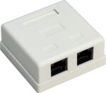 CAT6 Gigabit netwerk uitvoerdoos/montagedoos met 2 RJ45 poorten / wit