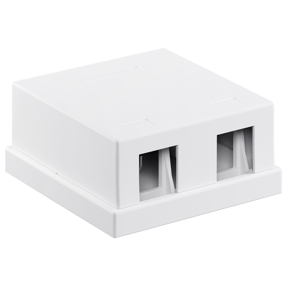 Uitvoerdoos | voor 2 Keystone modules | wit