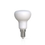 LED-Lamp E14 | R50 | 4.9 W | 470 lm | 2700 K | Warm Wit | Doorzichtig | 1 Stuks